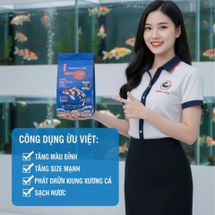 Cám cá koi Ninakoi
