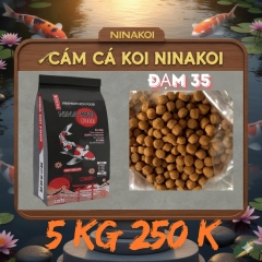 Cám Tăng Màu