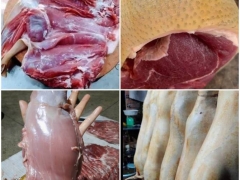 Cung Cấp Thịt Heo Rừng, Cung Cấp Thịt Nai